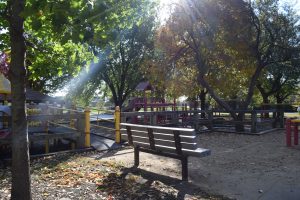 photo of park at autumn