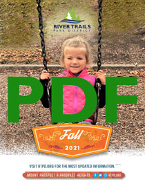 brochure cover graphic- child in swing during autumn